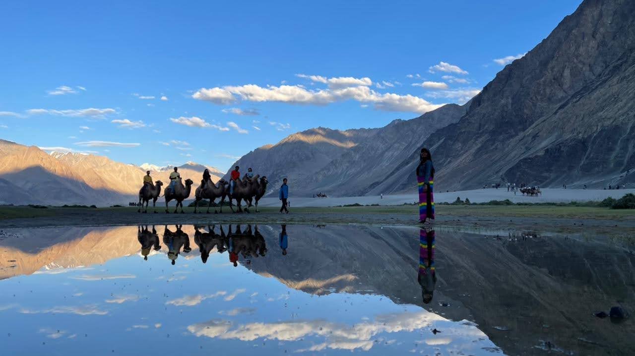 Nubra Sand Dunes Camel Ride